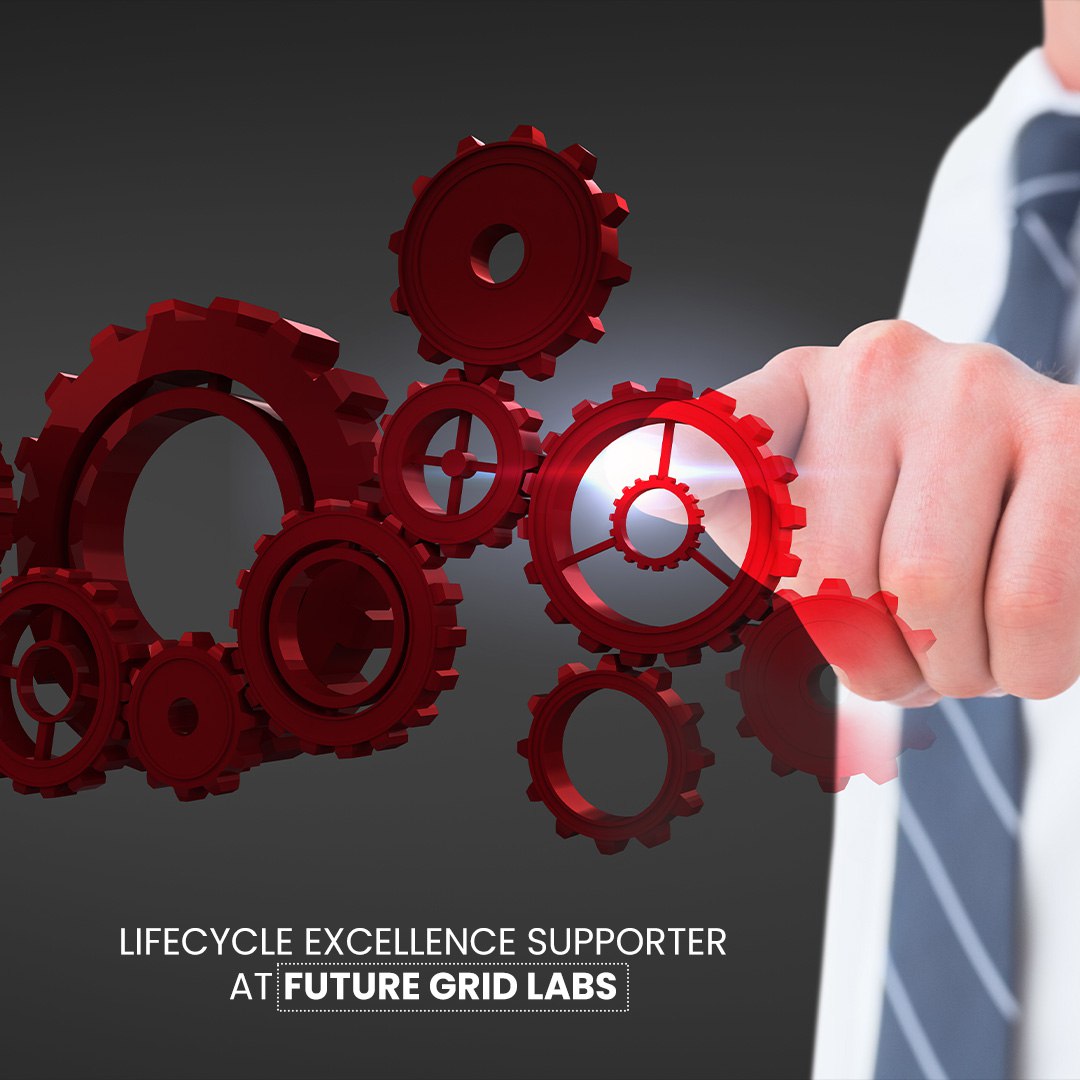 Lifecycle Excellence Supporter